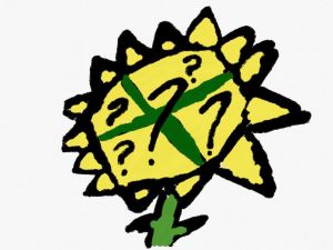 IMG_1185.PNG